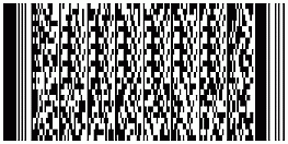 PDF417
      barcode