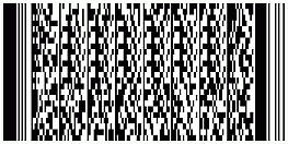 PDF417
      barcode