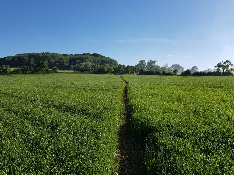 Path near Prescott, Gloucestershire